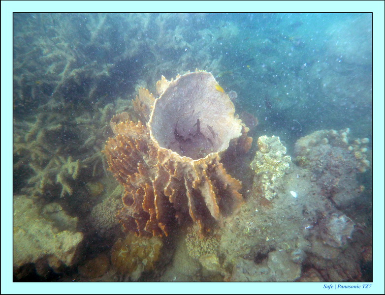 2011 - 03 - Koh Ngai 071